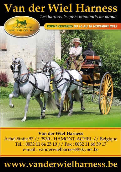 Van Der Wiel Harness